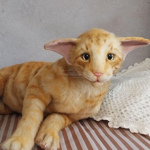 Realistic soft stuffed orange tabby Oriental breed cat toy has yellow taxidermy eyes, pink colored polymer clay paws, white translucent polymer clay claws, and artificial whiskers. The cat  has a green scarf with a diamond pattern. Perfect for collectors, gifts, memorial pet, and home decor.