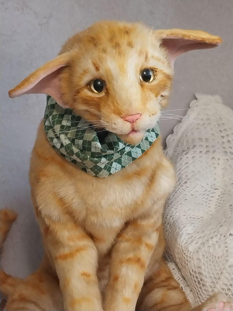 Realistic soft stuffed orange tabby Oriental breed cat toy has yellow taxidermy eyes, pink colored polymer clay paws, white translucent polymer clay claws, and artificial whiskers. The cat  has a green scarf with a diamond pattern. Perfect for collectors, gifts, memorial pet, and home decor.