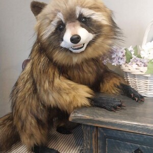Realistic artificial stuffed raccoon toy made of faux fur and tinted with paints. It has cute exotic look with black glass eyes and black polymer clay nose. Has opened mouth with a tongue and teeth.
