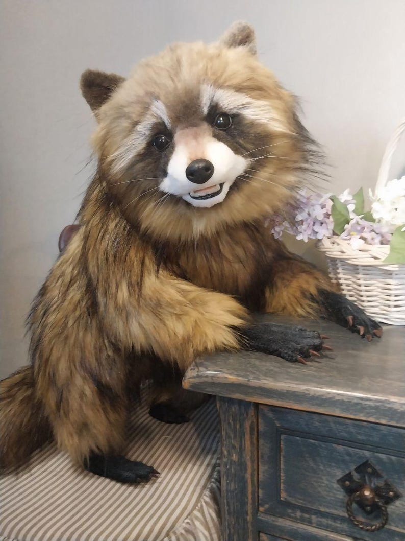 Realistic artificial stuffed raccoon toy made of faux fur and tinted with paints. It has cute exotic look with black glass eyes and black polymer clay nose. Has opened mouth with a tongue and teeth.