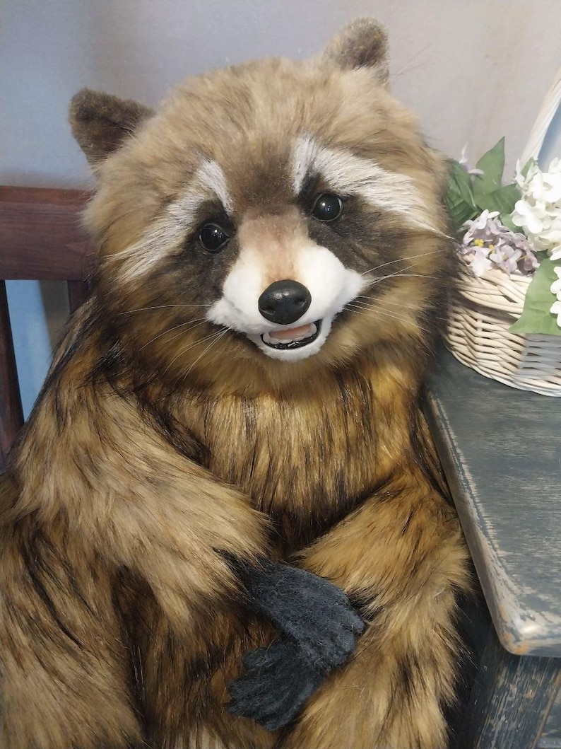 Realistic artificial stuffed raccoon toy made of faux fur and tinted with paints. It has cute exotic look with black glass eyes and black polymer clay nose. Has opened mouth with a tongue and teeth.