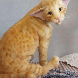 Realistic soft stuffed orange tabby Oriental breed cat toy has yellow taxidermy eyes, pink colored polymer clay paws, white translucent polymer clay claws, and artificial whiskers. The cat  has a green scarf with a diamond pattern. Perfect for collectors, gifts, memorial pet, and home decor.