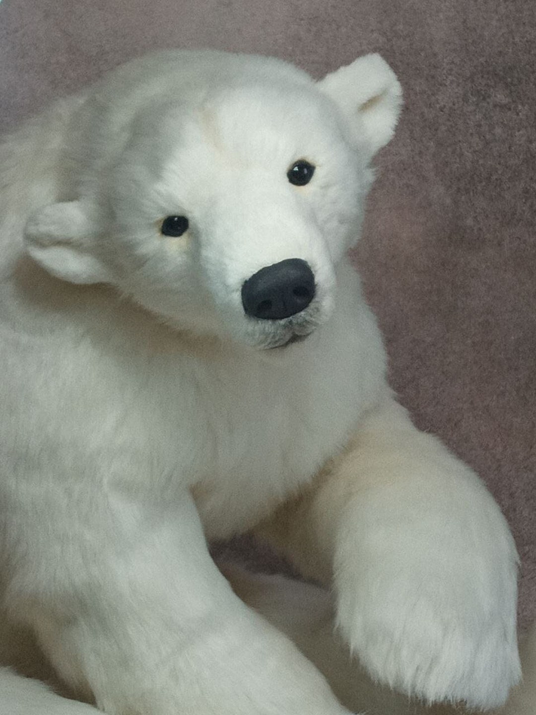 Polar Bear Realistic Toy OOAK Artificial Stuffed Animal Soft Sculpture 