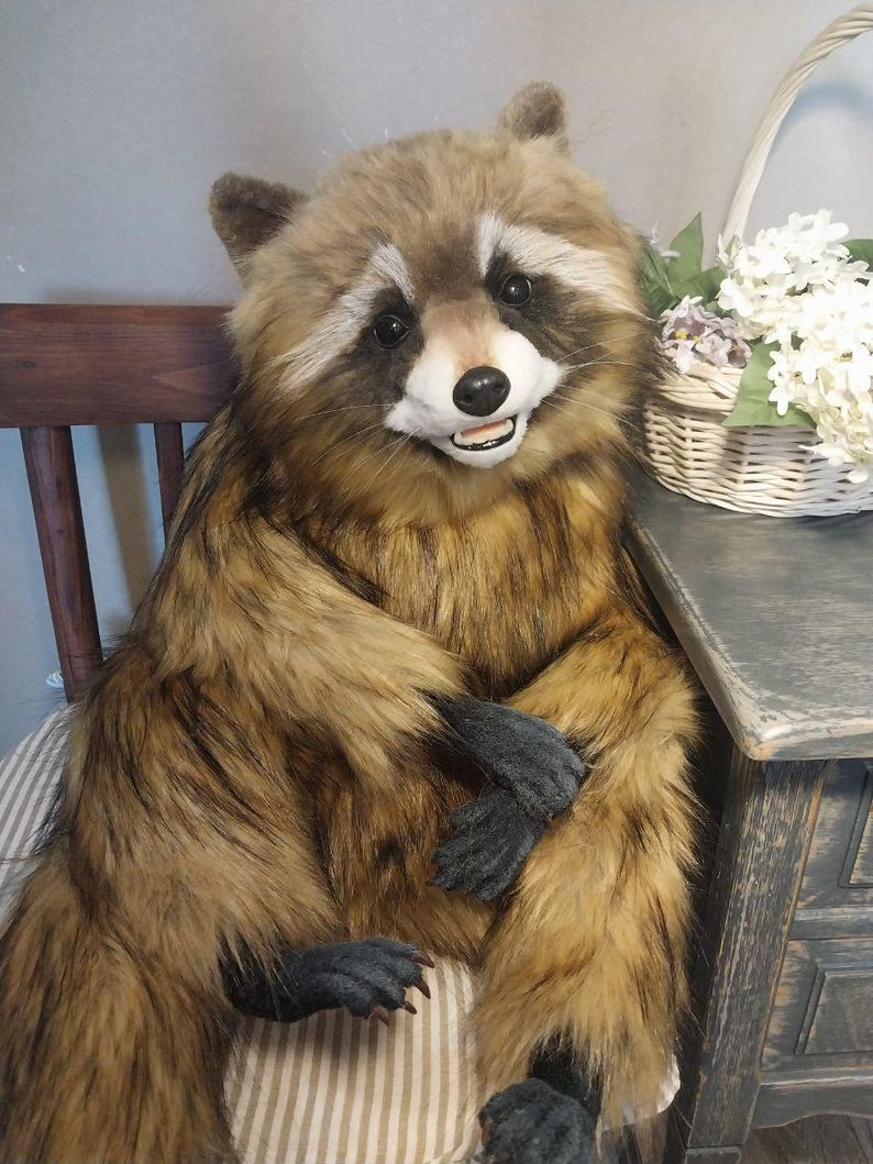 Realistic artificial stuffed raccoon toy made of faux fur and tinted with paints. It has cute exotic look with black glass eyes and black polymer clay nose. Has opened mouth with a tongue and teeth.