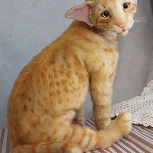 Realistic soft stuffed orange tabby Oriental breed cat toy has yellow taxidermy eyes, pink colored polymer clay paws, white translucent polymer clay claws, and artificial whiskers. The cat  has a green scarf with a diamond pattern. Perfect for collectors, gifts, memorial pet, and home decor.
