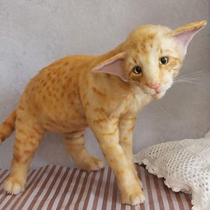 Realistic soft stuffed orange tabby Oriental breed cat toy has yellow taxidermy eyes, pink colored polymer clay paws, white translucent polymer clay claws, and artificial whiskers. The cat  has a green scarf with a diamond pattern. Perfect for collectors, gifts, memorial pet, and home decor.