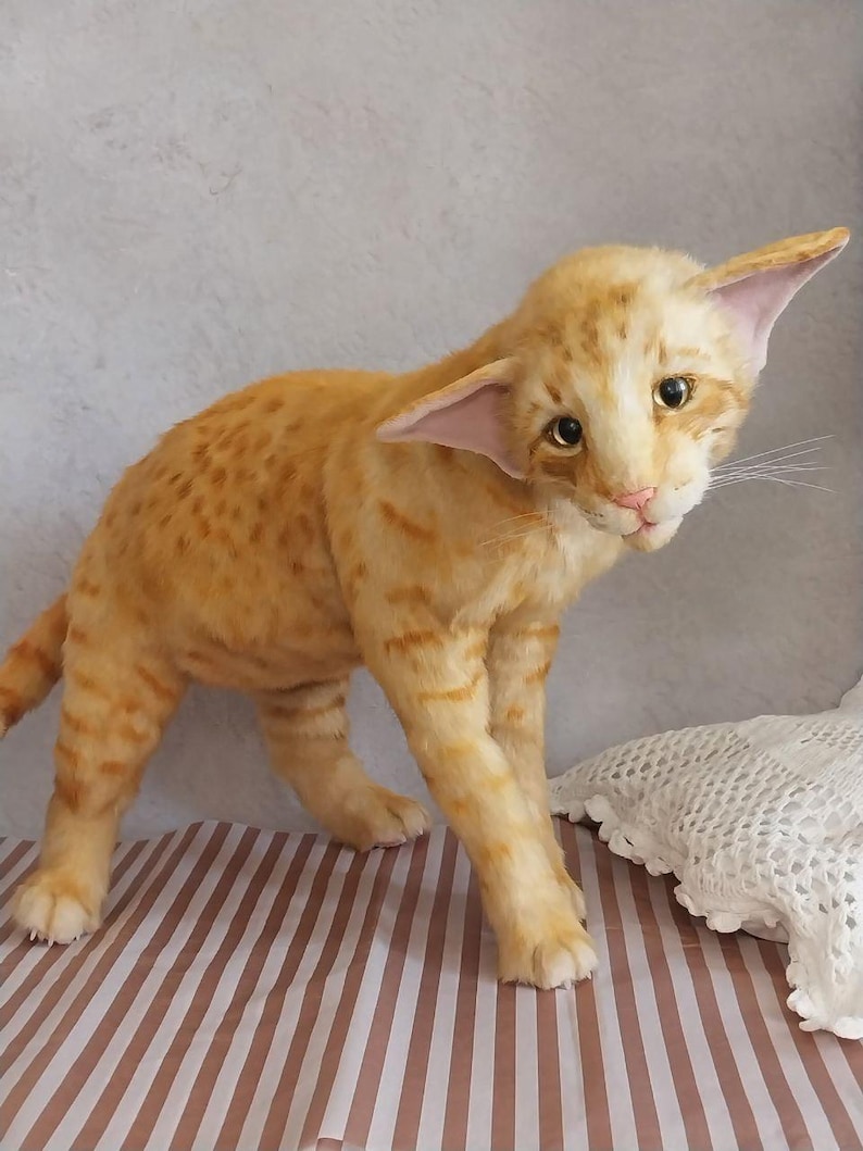 Realistic soft stuffed orange tabby Oriental breed cat toy has yellow taxidermy eyes, pink colored polymer clay paws, white translucent polymer clay claws, and artificial whiskers. The cat  has a green scarf with a diamond pattern. Perfect for collectors, gifts, memorial pet, and home decor.