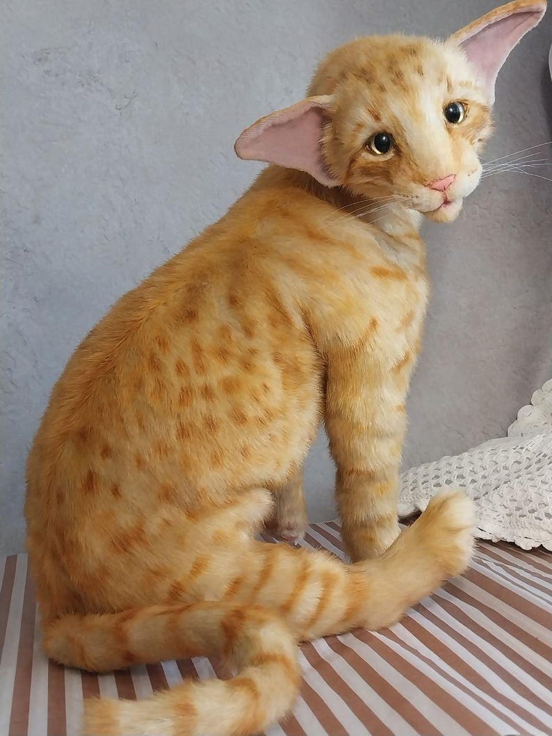 Realistic soft stuffed orange tabby Oriental breed cat toy has yellow taxidermy eyes, pink colored polymer clay paws, white translucent polymer clay claws, and artificial whiskers. The cat  has a green scarf with a diamond pattern. Perfect for collectors, gifts, memorial pet, and home decor.