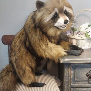 Realistic artificial stuffed raccoon toy made of faux fur and tinted with paints. It has cute exotic look with black glass eyes and black polymer clay nose. Has opened mouth with a tongue and teeth.