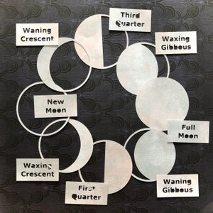 Moon Phases- Phases of the Moon- cut file download for homeschool science activity paper craft (svg, pdf, png, dxf)