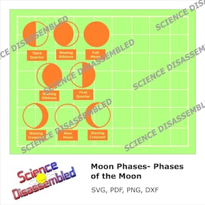 Moon Phases- Phases of the Moon- Cut File Download for Homeschool ...