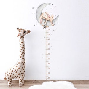 Babykamer stickers, Baby Muur Toise, Kind Toise, Huisdier Maat, Konijn Maat, Meisje Kamer Sticker, Boy Room Sticker