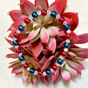 May include: A bracelet with red, blue, and clear beads. The bracelet has glossy, round beads in red and blue, with clear, faceted beads in between. The bracelet is displayed on a dark red succulent plant.