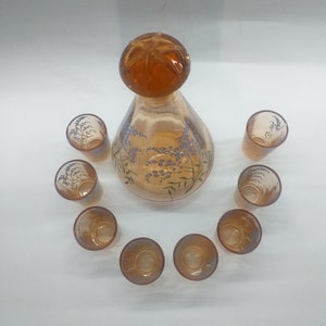 Set Caraffa E 8 Bicchieri Shots per Grappa, Amaro, Vodka, Francese