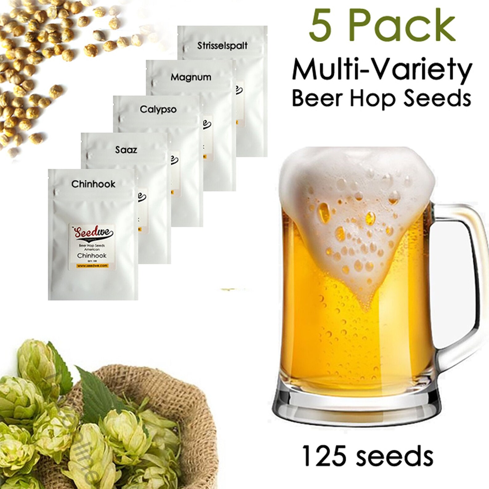 5 Pack Variety Beer Hop Seeds Saaz Chinhook Magnum Calypso Etsy