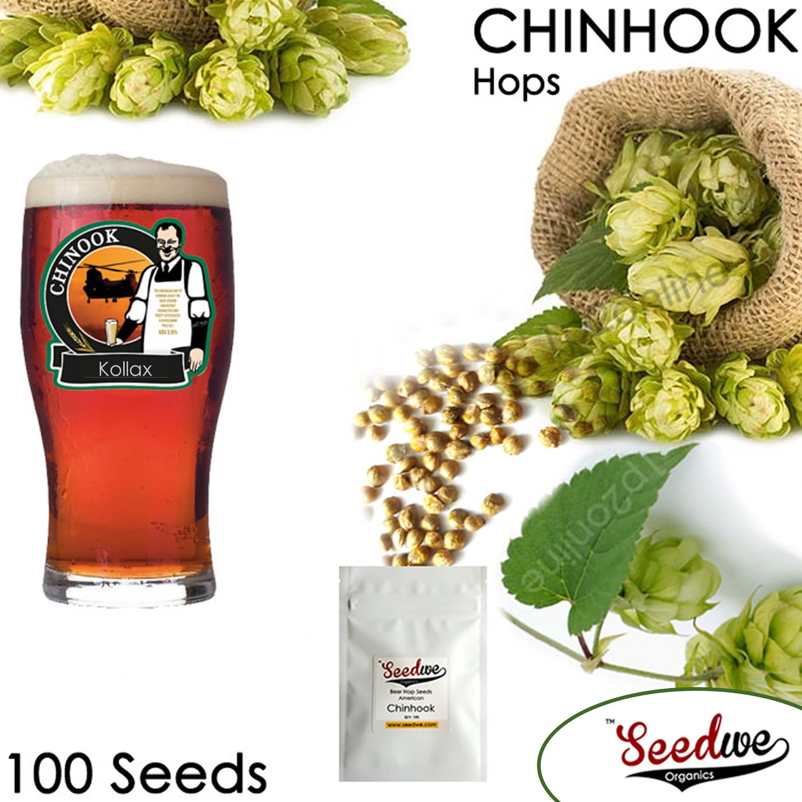 American Chinhook Beer Hop Seeds Hops Seed Home Brew Perennial Etsy