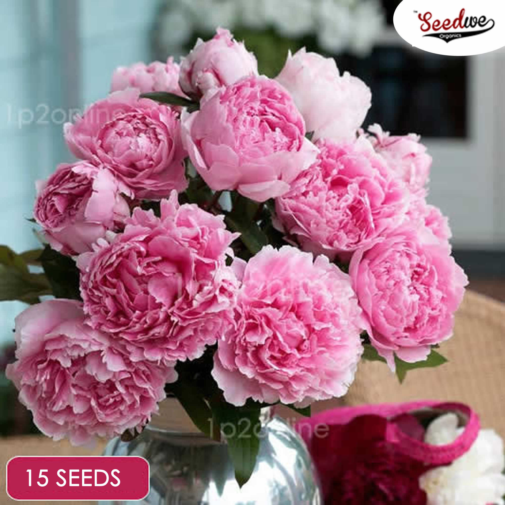 Rare Peonies X15 Seeds Double Peony Indoor Outdoor Plants Etsy