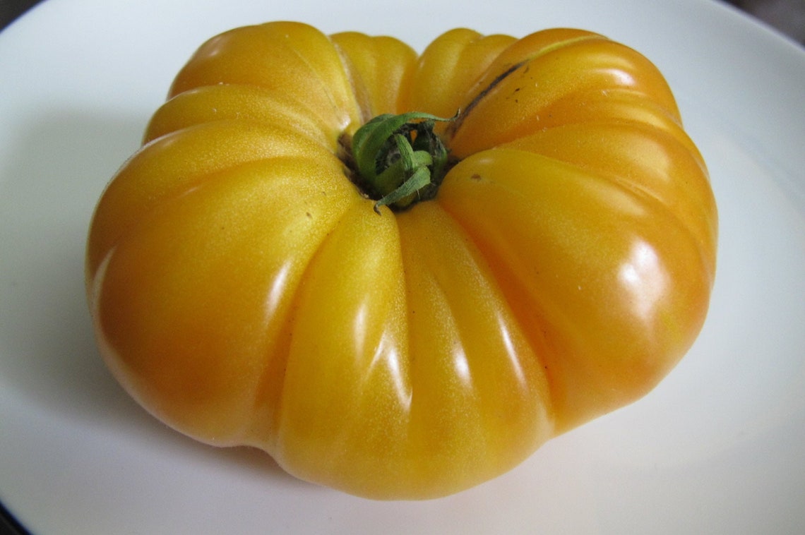 Pineapple Tomato Seeds Rare Hawaiian Unusual Fruit Plant Etsy Australia