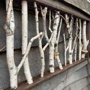 Art mural forêt de bouleaux blancs Décoration de chambre à coucher Cottagecore Champignons bouleau Tête de lit en bois