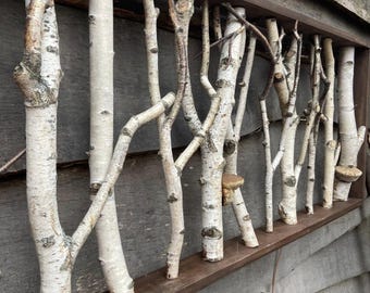 White birch forest wall art  Cottagecore bedroom decor Birch mushroom  Wood headboard