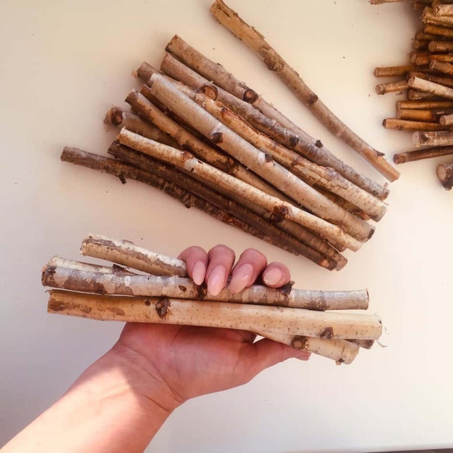 Birch branch Wood sticks birch Craft sticks White birch Etsy