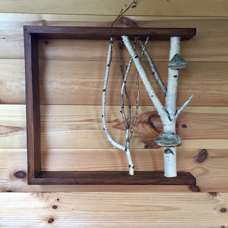 White birch forest wall art live edge shelf Mushroom shelves  Birch shelf
