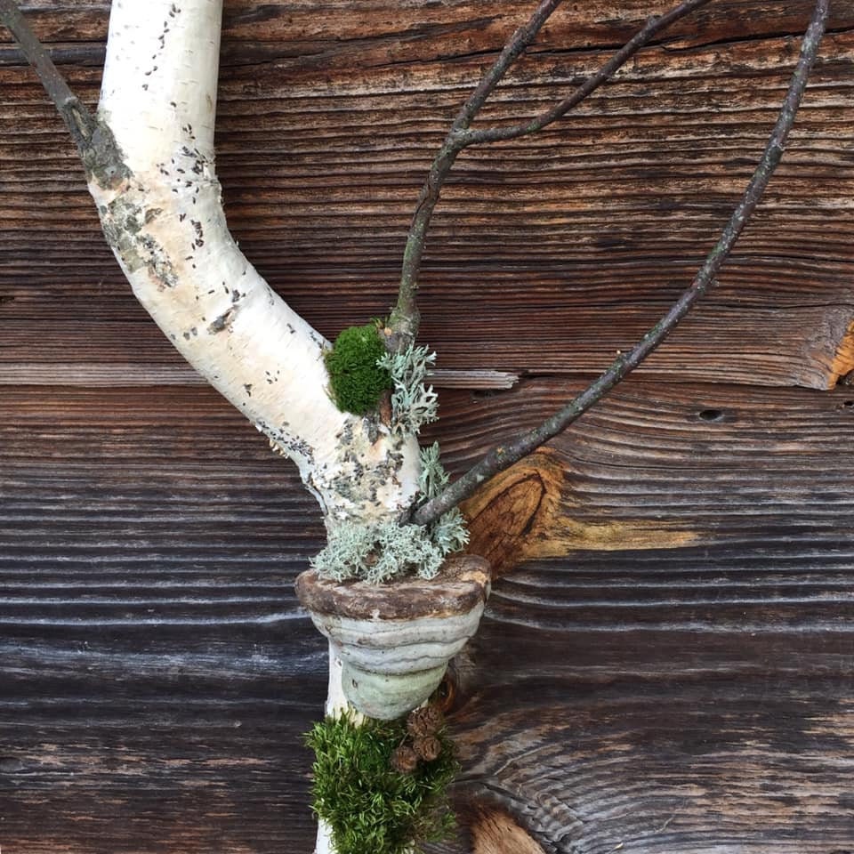 30インチの白樺の枝の壁アート、白樺の枝、コテージコアの装飾ルーム