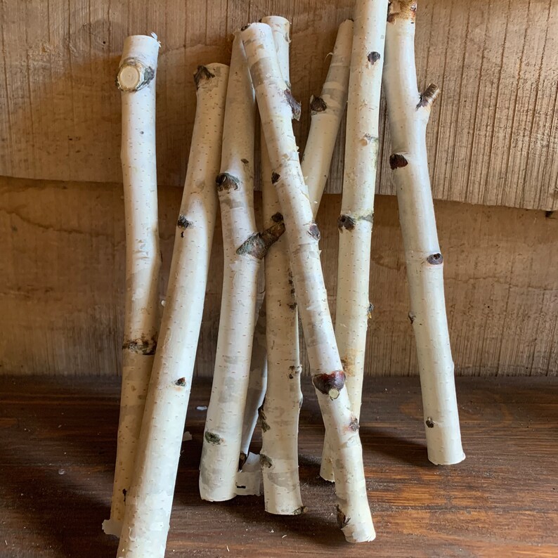 4 Thick White Birch Poles – 6ft Each – Natural Craft Wood, Brand New