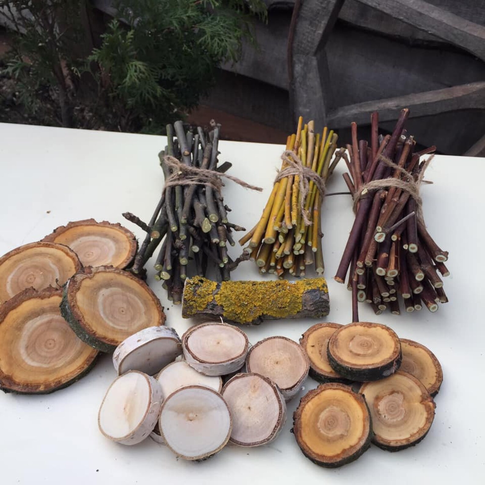 Box Chewing Treat for Bunny Rabbits Apple Sticks for Rabbits Etsy