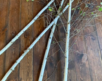 May include: Three white birch branches arranged in a crisscross pattern on a wooden floor. The branches are smooth and have a natural, rustic look.