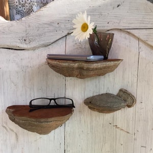 Puede incluir: Tres estantes de madera hechos de hongo de &aacute;rbol, montados en una pared blanca. El estante superior tiene un tel&eacute;fono m&oacute;vil encima, el estante del medio tiene un par de gafas y el estante inferior est&aacute; vac&iacute;o. Un peque&ntilde;o jarr&oacute;n de vidrio con una margarita blanca est&aacute; en el estante superior.