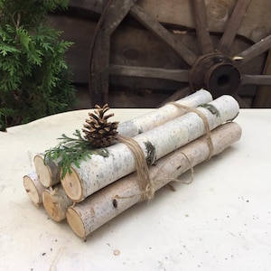 Leños para chimenea de abedul blanco Decoración cottagecore Juego de 5 troncos de abedul