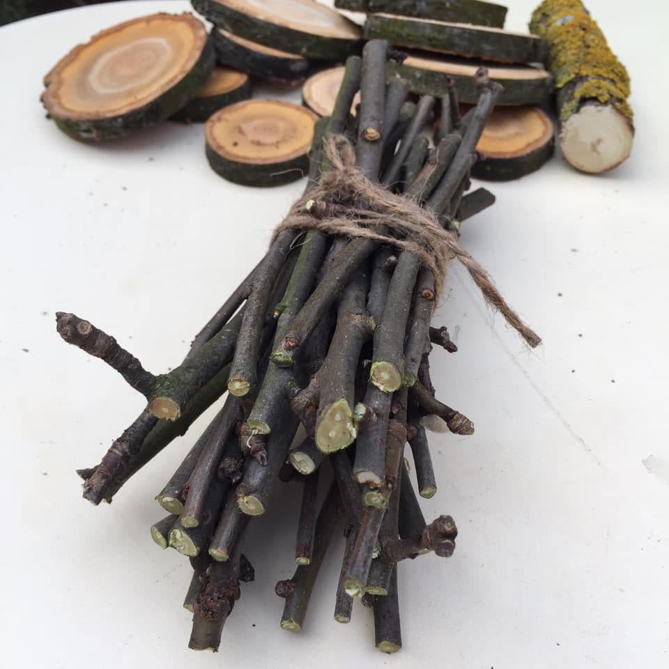 Bastoncini Di Mele Naturali Per Conigli E Piccoli Animali - 12 Pezzi, Giocattoli Da Masticare Per Denti Sani - Foto 9