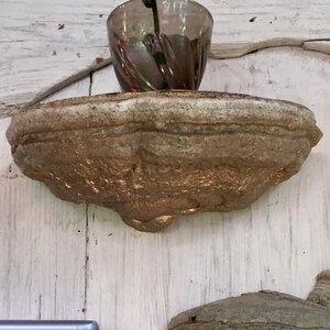 Puede incluir: Un estante de color dorado de forma irregular hecho de materiales naturales, montado en una pared de madera blanca. El estante tiene forma de tapa de hongo y tiene una superficie rugosa y texturizada.