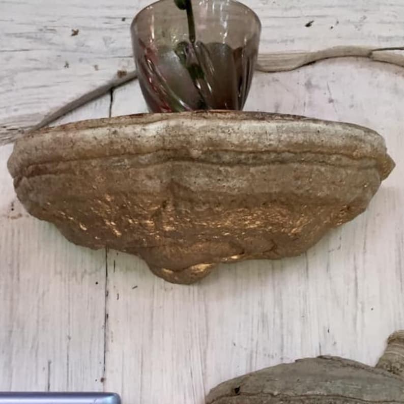 Puede incluir: Un estante de color dorado de forma irregular hecho de materiales naturales, montado en una pared de madera blanca. El estante tiene forma de tapa de hongo y tiene una superficie rugosa y texturizada.