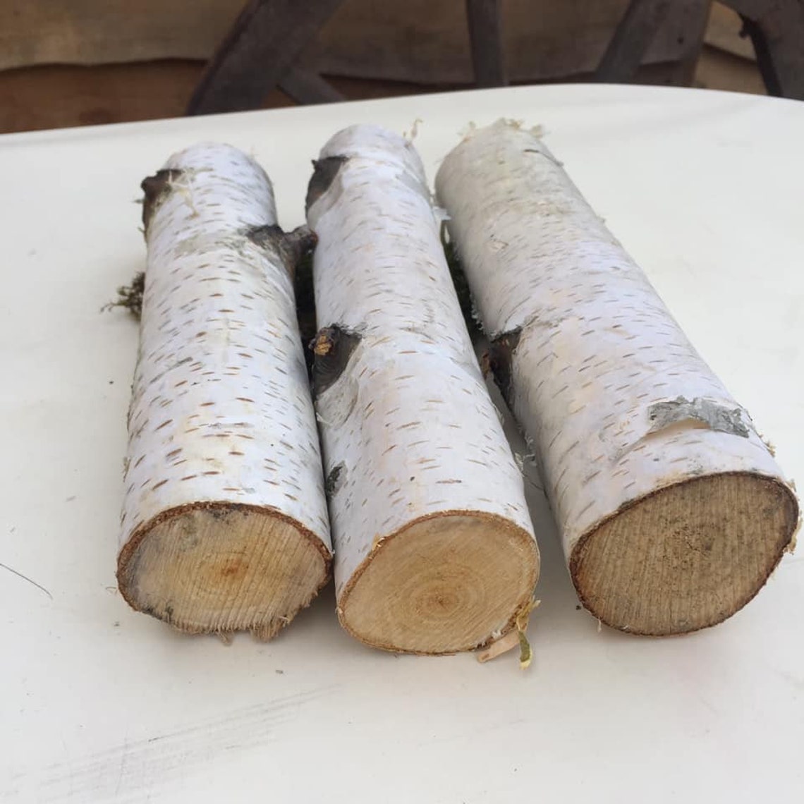 10 White Birch Branches Logs White Birch Logs Fireplace Etsy