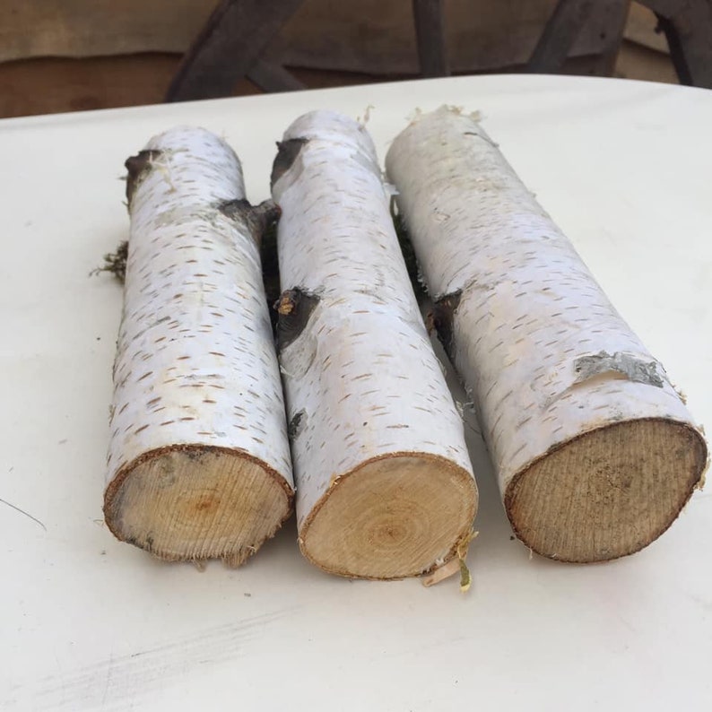 10 White birch branches logs White birch logs fireplace image 5