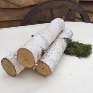 10 White birch branches logs White birch logs fireplace image 10