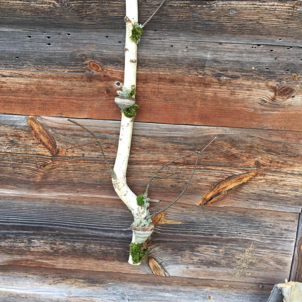 30birch Branch Wall Art White Birch Branches Cottagecore Etsy