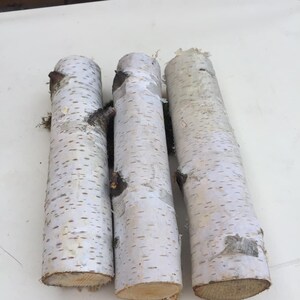 10 White birch branches logs White birch logs fireplace image 9