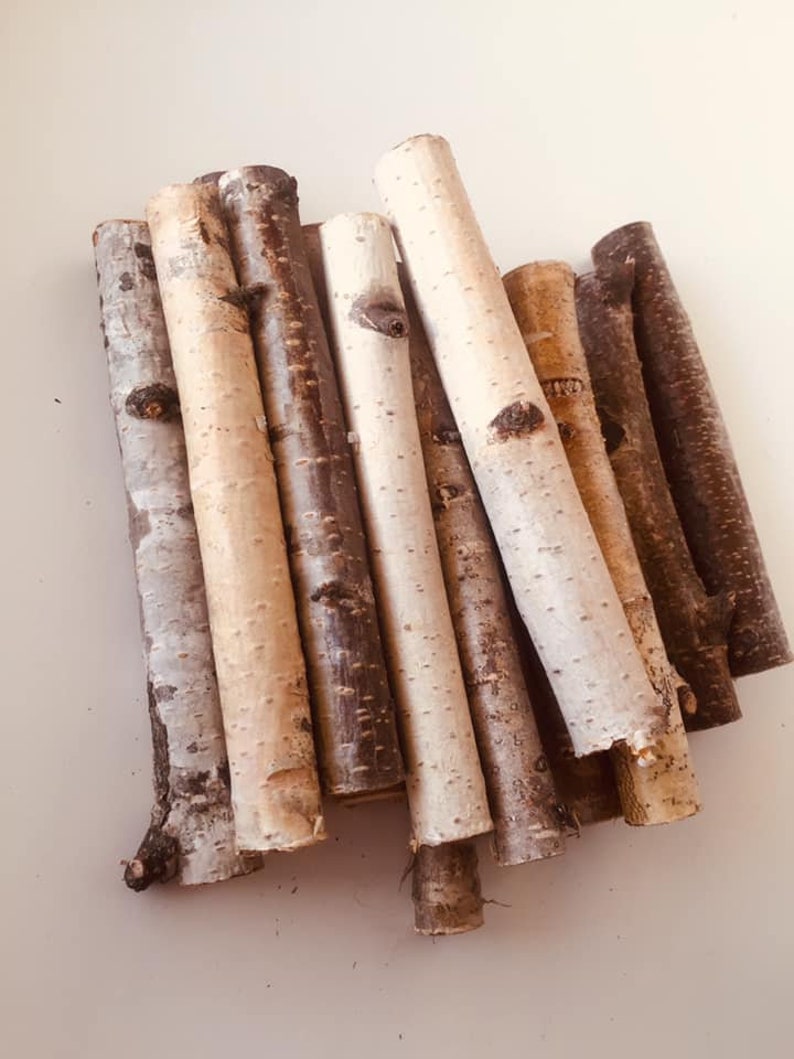White birch branches Birch stick Etsy