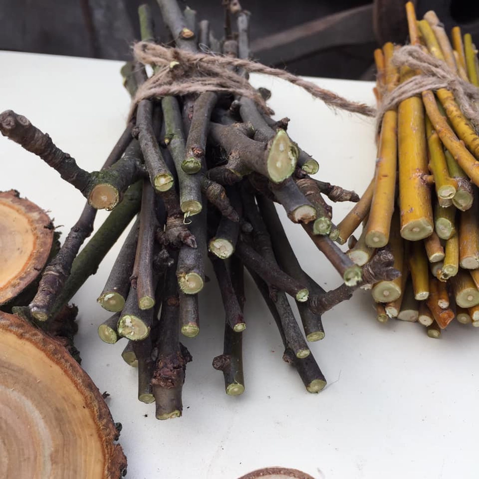 Box Chewing Treat for Bunny Rabbits Apple Sticks for Rabbits Etsy