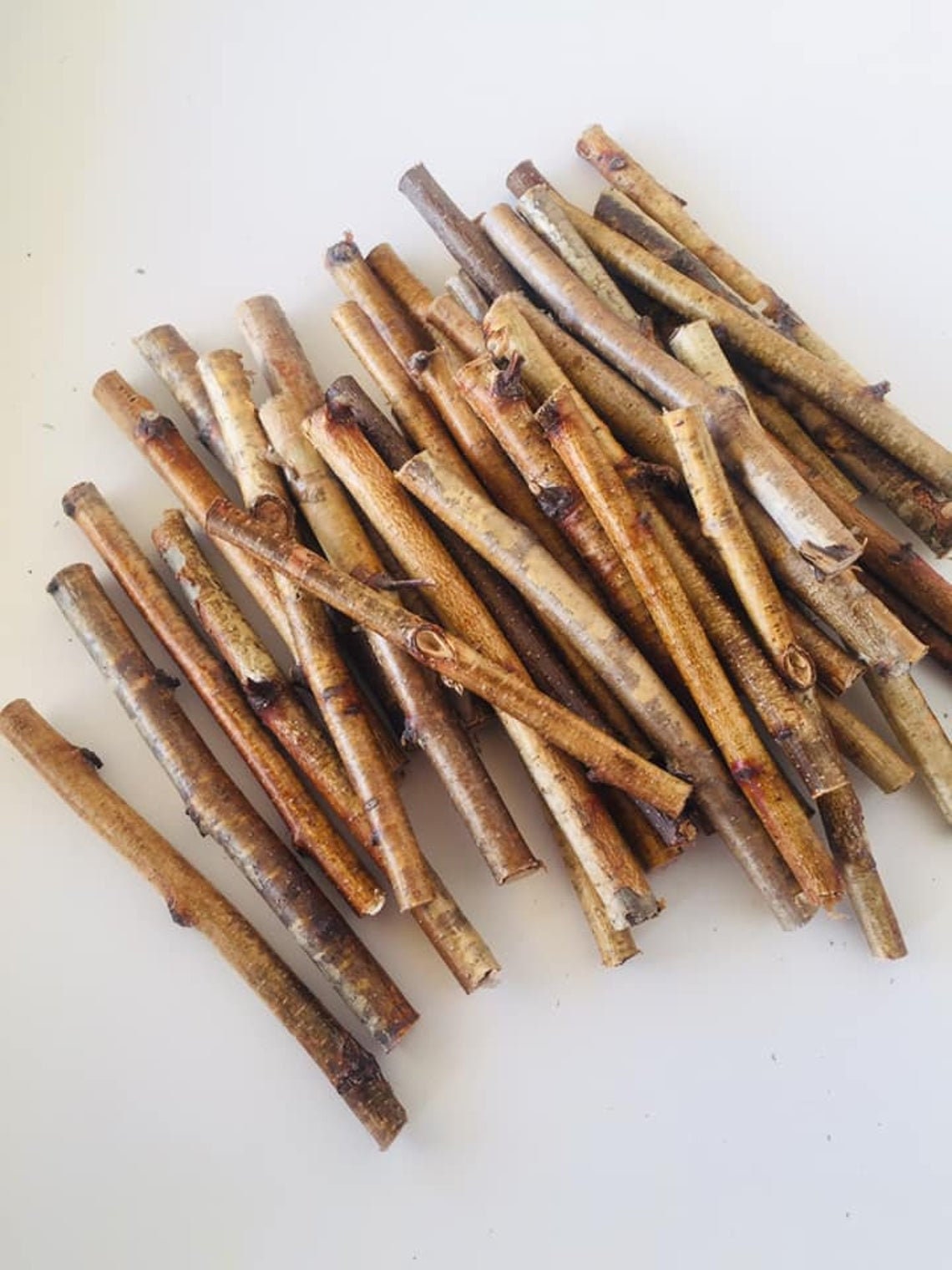 Birch branch Wood sticks birch Craft sticks White birch Etsy