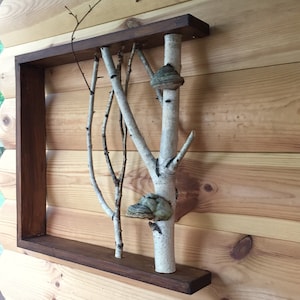 White birch forest wall art live edge shelf Mushroom shelves  Birch shelf