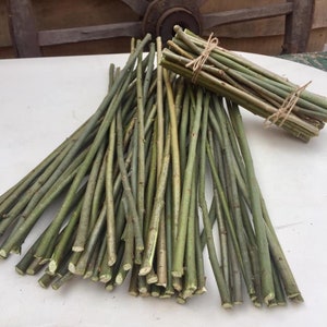 May include: A bundle of long, thin, green willow branches, some tied together with twine. The branches are about 12 inches long and are perfect for crafting.