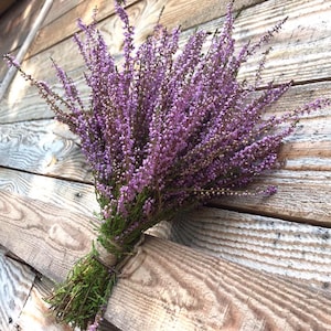 Dried heather bouquet  Dried wild flowers
