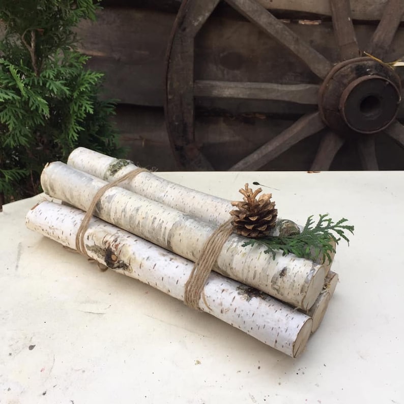 White birch Fireplace logs Cottagecore decor Birch Logs