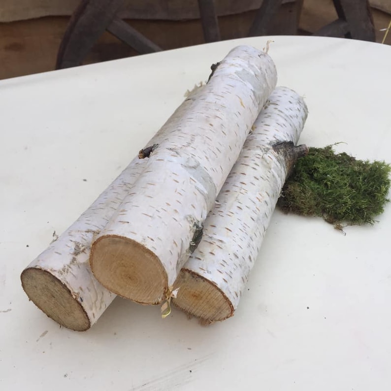 10 White Birch Branches Logs White Birch Logs Fireplace Etsy