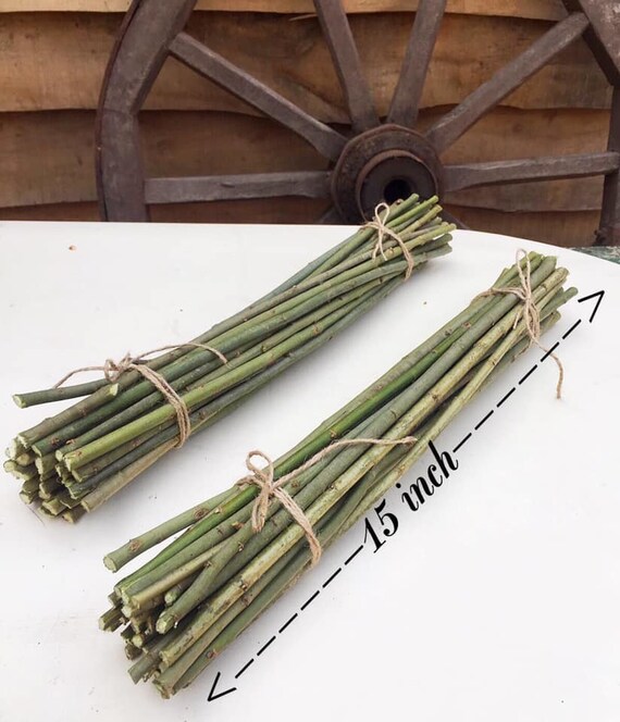 Willow branches Wood branch Etsy