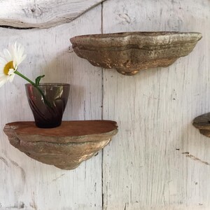 Puede incluir: Dos estantes r&uacute;sticos de madera hechos de hongo de &aacute;rbol, montados en una pared de madera blanca. El estante superior est&aacute; vac&iacute;o, mientras que el estante inferior tiene un peque&ntilde;o jarr&oacute;n de vidrio con una margarita blanca.